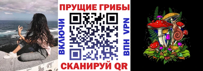 Псилоцибиновые грибы мицелий Вытегра