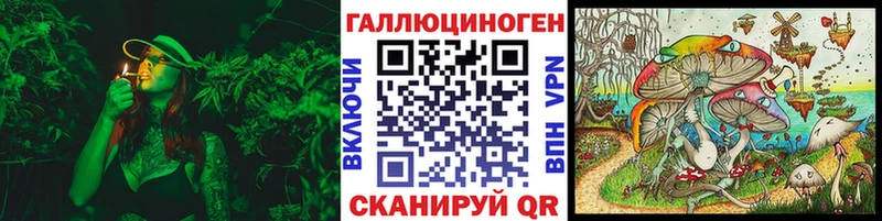 Галлюциногенные грибы GOLDEN TEACHER  где продают   Вытегра 