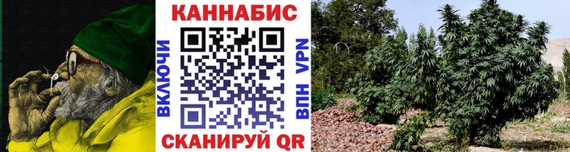 Бошки марихуана White Widow  где продают наркотики  Вытегра 